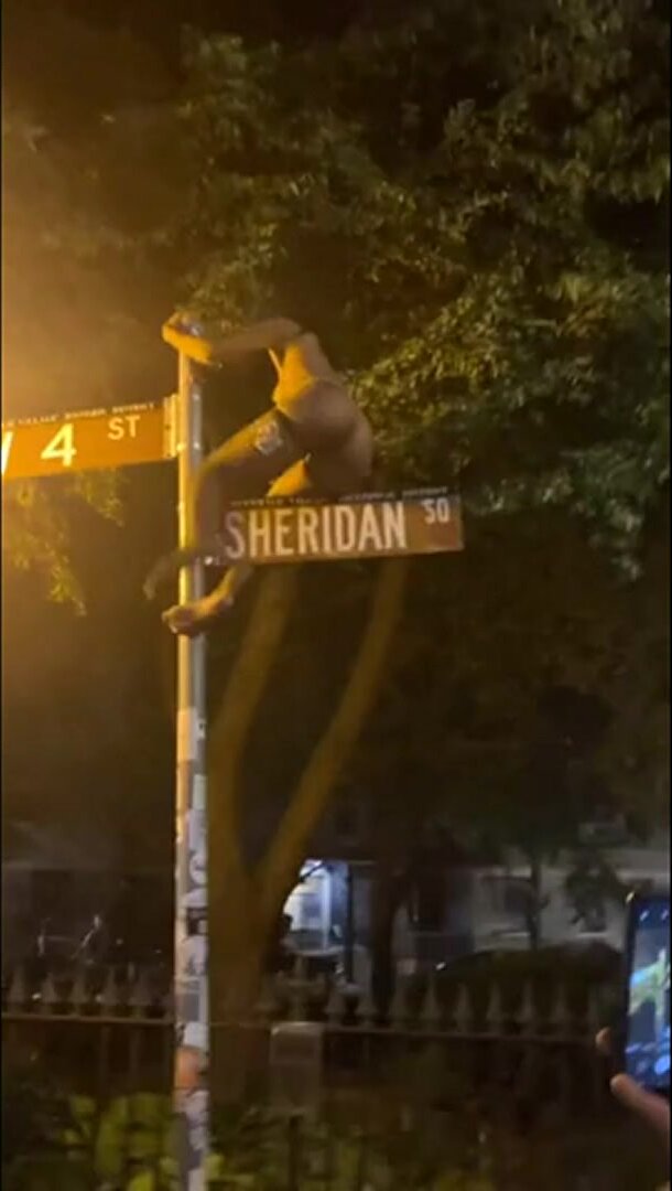 Sheridan SQ