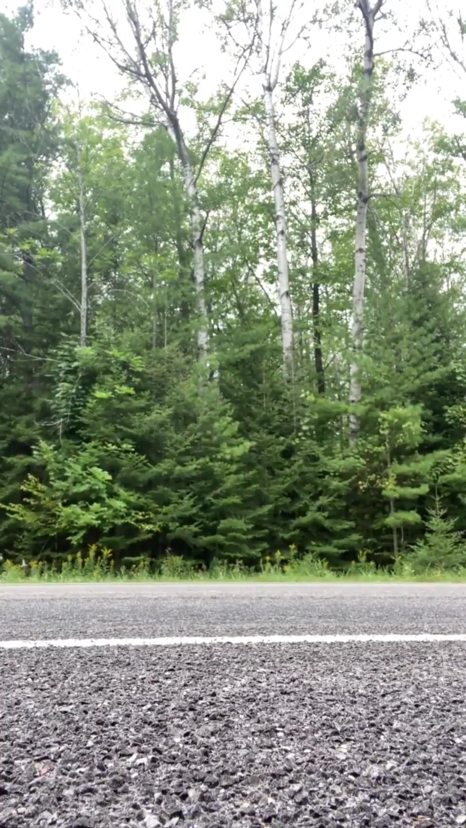 Lets smash in the woods after our workout