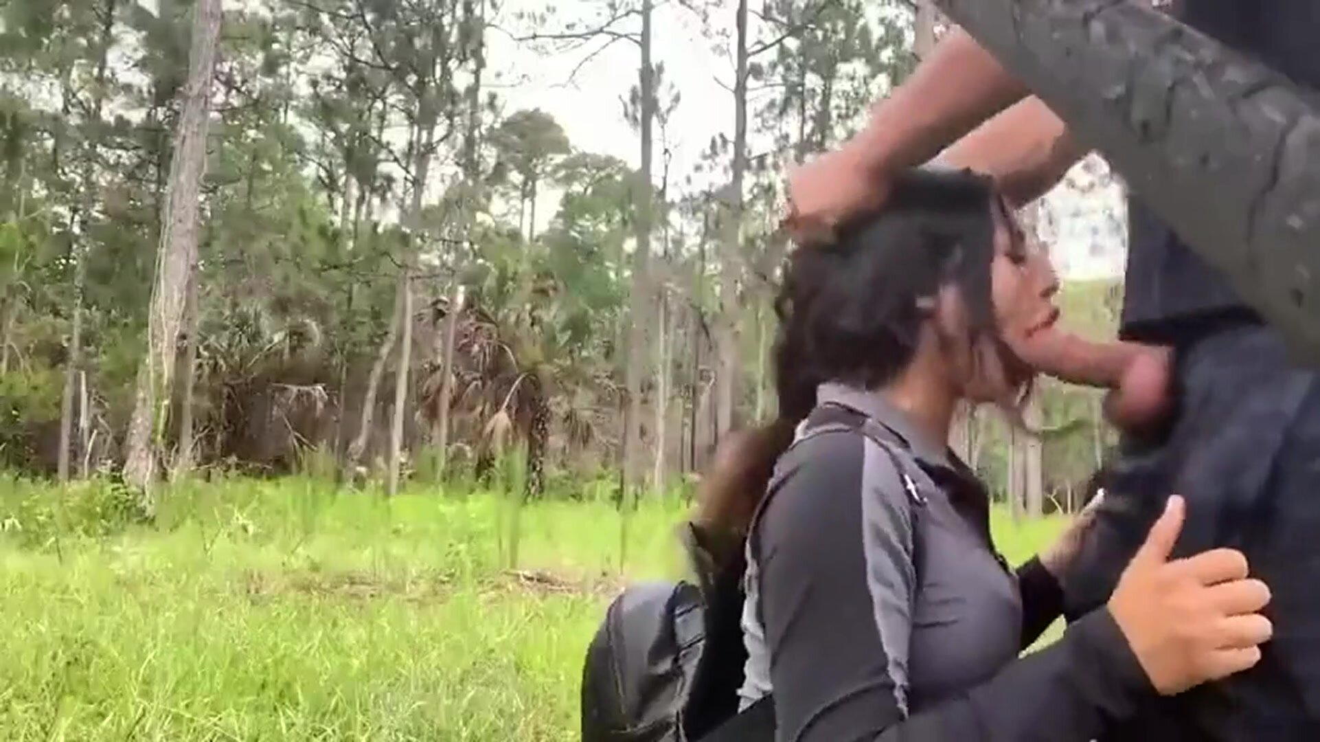 Out in the woods