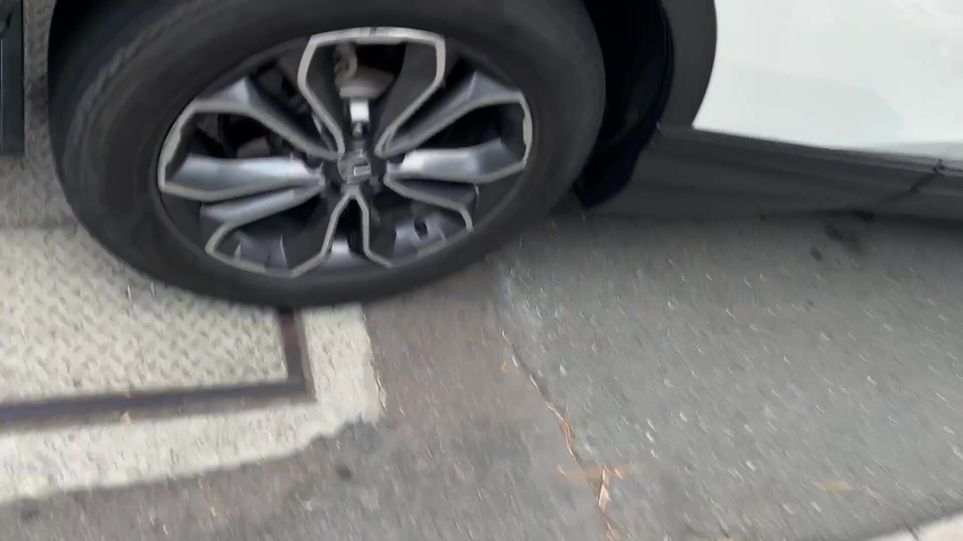 Showing you a little surprise while I get in the Uber!