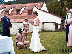 A beautiful couple gets engaged and after that a gorgeous bride gets fucked by a wedding hound