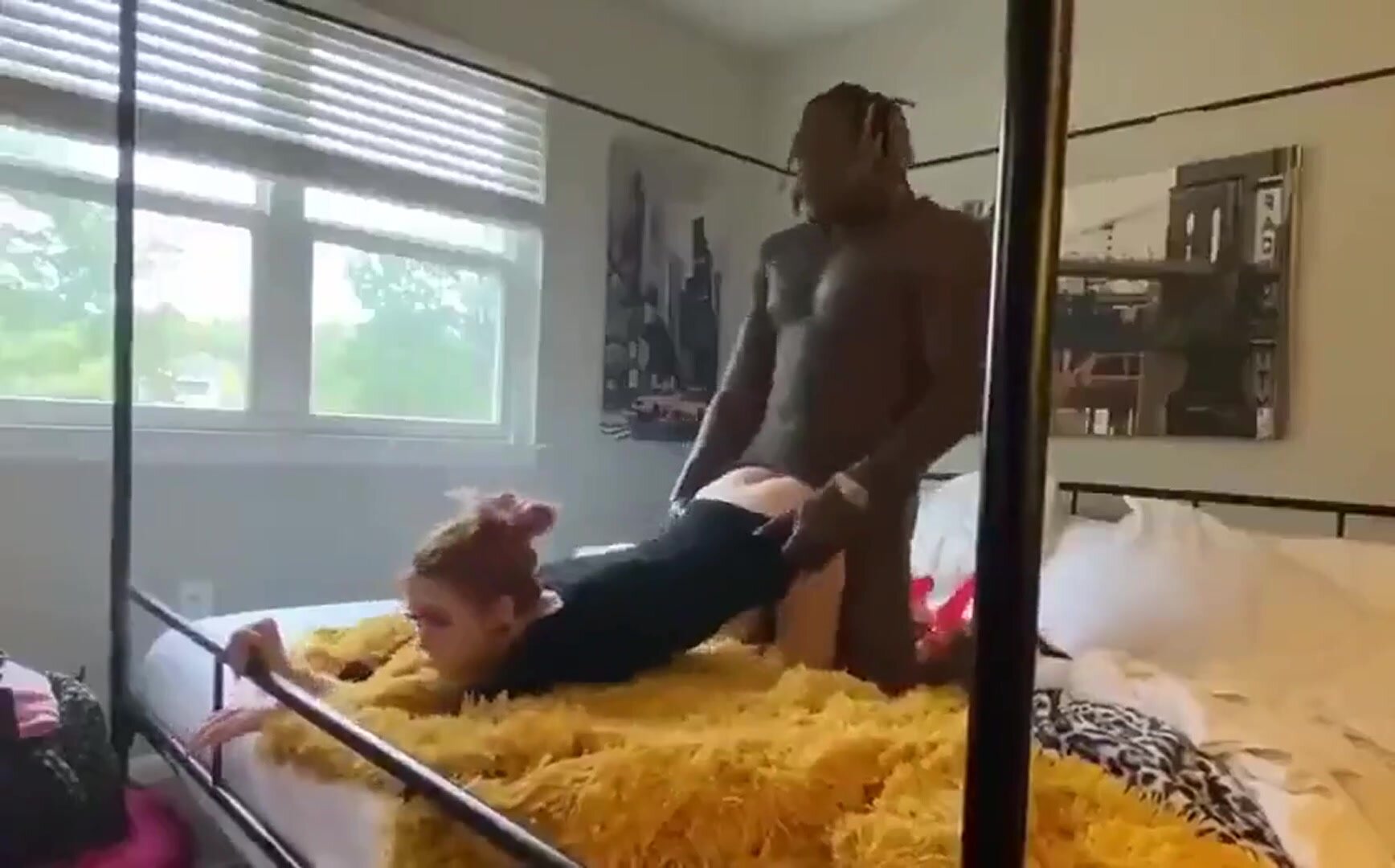 Black breeding is a holy moment