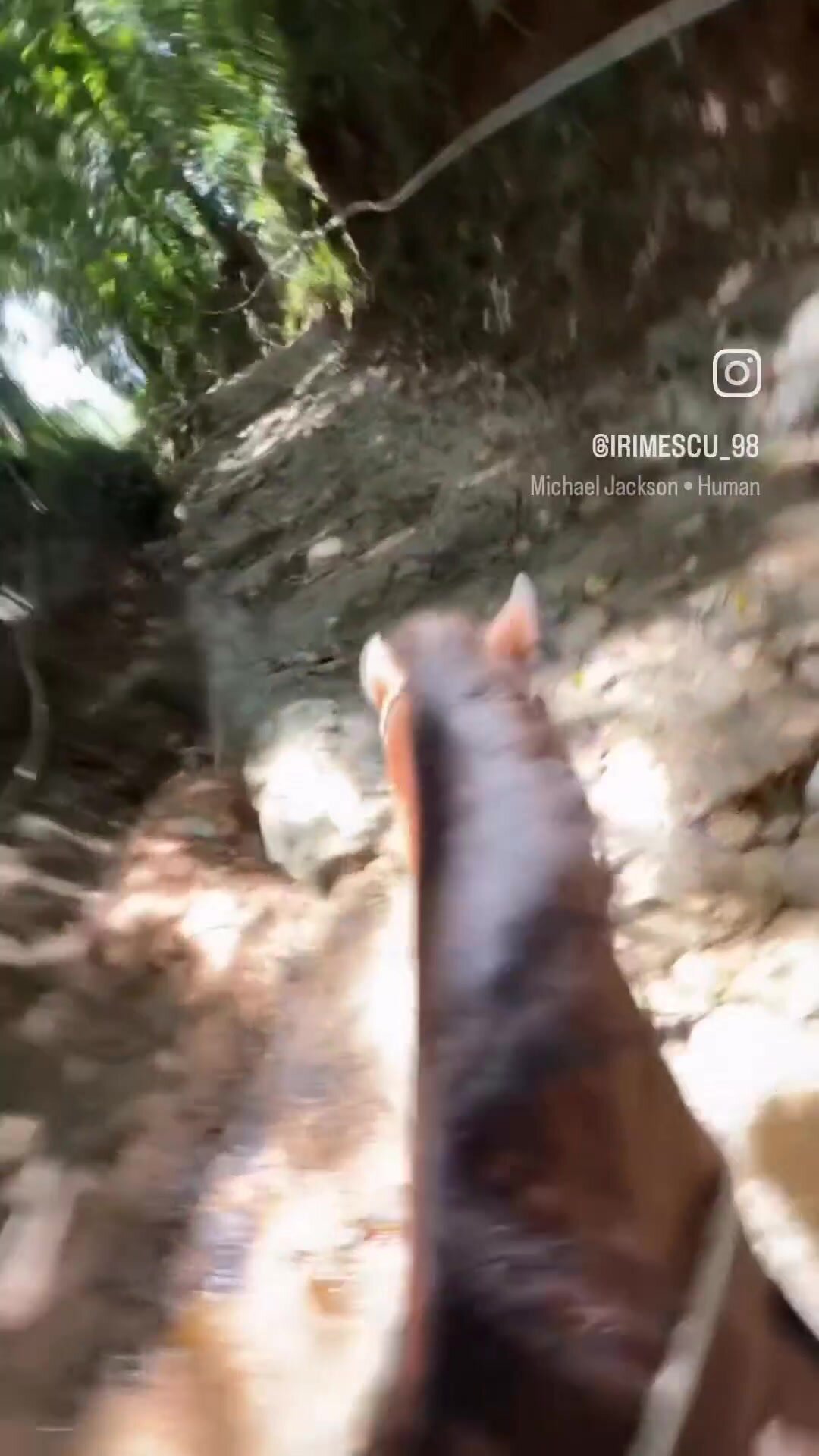 Horse Ride