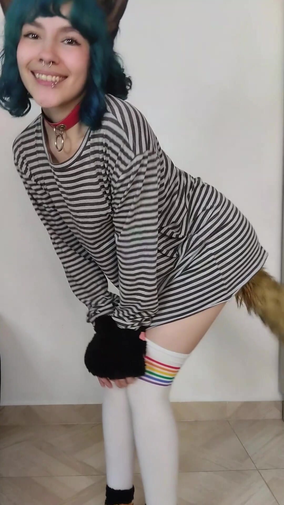 Your new kitty wants to play
