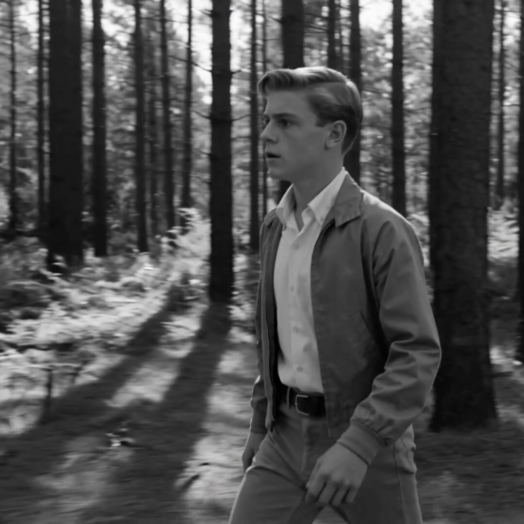 A Walk in the Woods