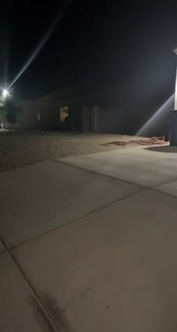 Out on a walk and had to go! But their cameras turned on