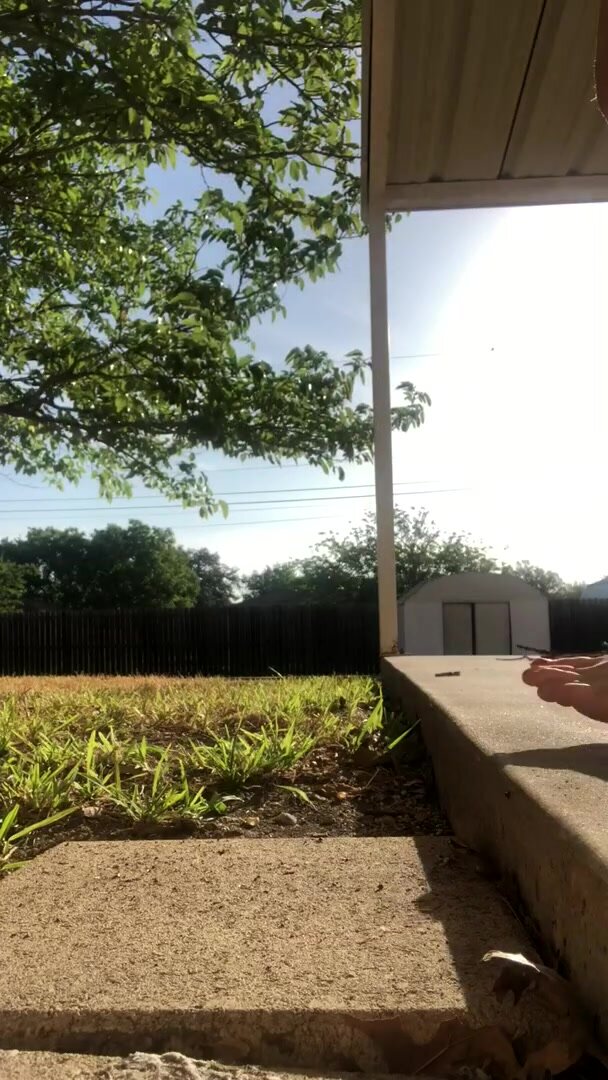 The sunlight made this so much prettier