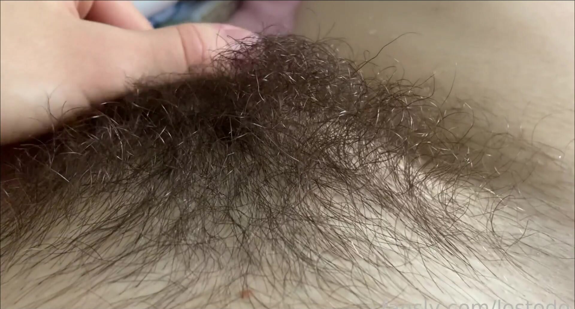 My bush is hiding my huge lips